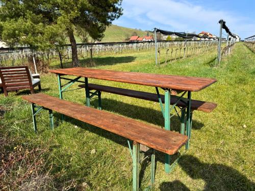 two wooden benches sitting on top of a field at Kellerstöckl - Zur Weinreibe 1 in Eisenberg an der Pinka