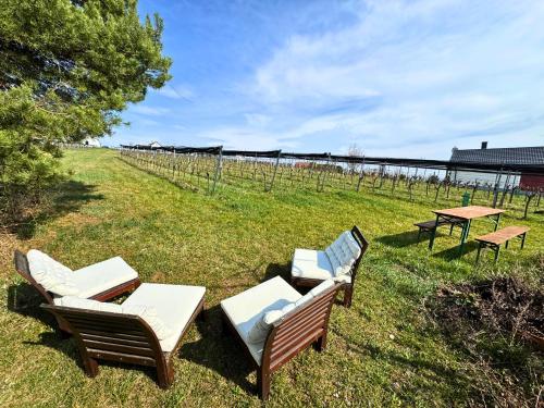 a group of chairs and tables in a field at Kellerstöckl - Zur Weinreibe 1 in Eisenberg an der Pinka