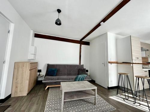 un salon avec un canapé et une table dans l'établissement Le Carnot, proche de la Gare, à Limoges