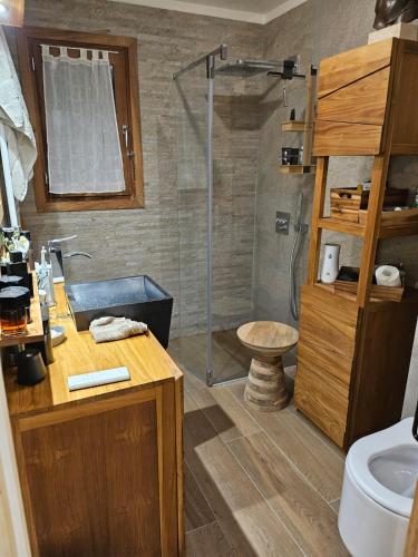 une salle de bain avec une douche, un lavabo et des toilettes dans l'établissement Maison d'exception au Cap Corse, à Luri