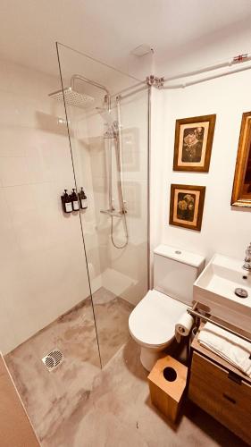 a bathroom with a shower and a toilet and a sink at Los Lagares Manor House in Deán Pequeño