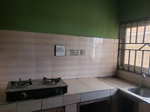 Kuchyň nebo kuchyňský kout v ubytování Alidiat apartments