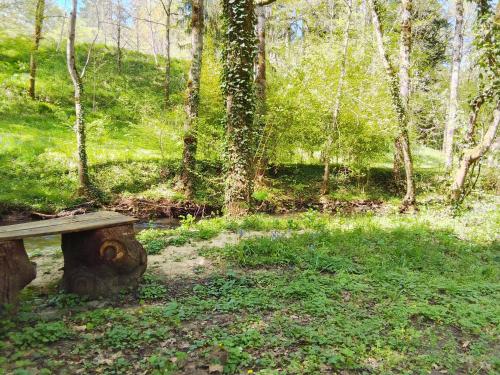 a wooden bench sitting in the middle of a forest at L'ancienne Gendarmerie in Saint-Laurent-sur-Gorre
