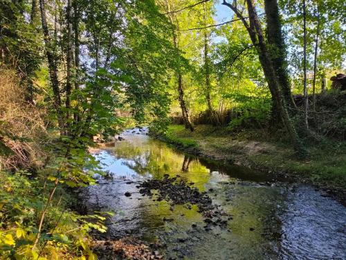 a stream in a wooded area with trees and water at L'ancienne Gendarmerie in Saint-Laurent-sur-Gorre