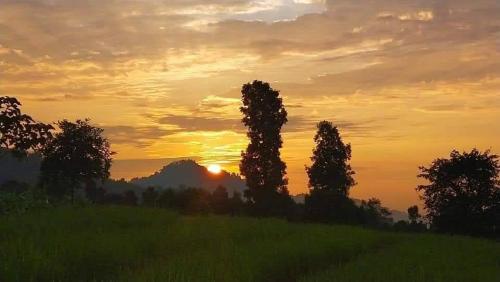 a group of trees in a field at sunset at Sudip Homestay in Gorubathān