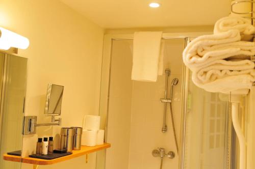 a bathroom with a shower and a shower at Les Glycines Vézelay in Vézelay