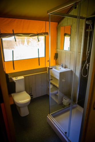 une petite salle de bain avec toilettes et lavabo dans l'établissement Camping Domaine le Peyral - Le Papillon Lodge, à La Salvetat-sur-Agout