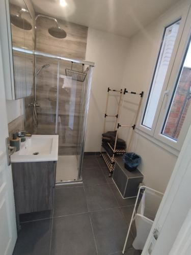 une salle de bain avec douche et lavabo dans l'établissement Appartement moderne avec cour extérieure Villemomble F3 59m2, à Villemomble