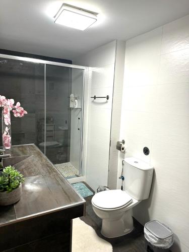 a bathroom with a toilet and a glass shower at Descanso en Sevilla in Seville