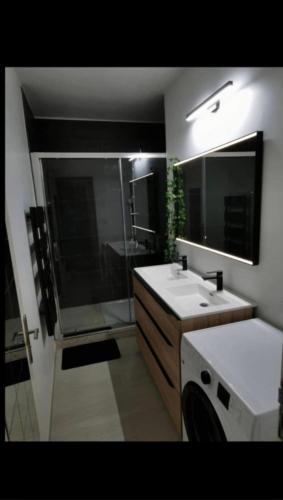 une salle de bain avec une douche, un lavabo et un miroir dans l'établissement nice appartement, montpellier center 3 rooms, à Montpellier