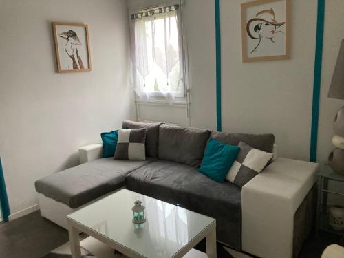 un salon avec un canapé et une table dans l'établissement Deux chambres dans appartement de 96m2, à Angers