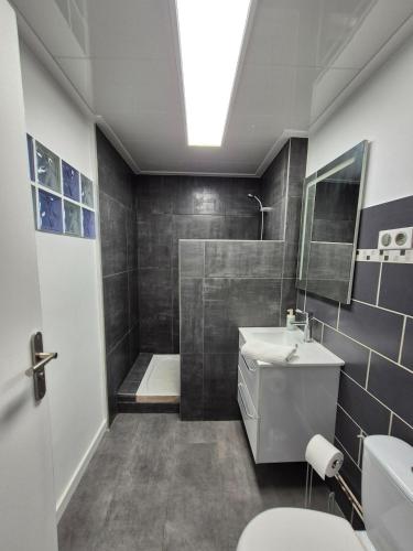 une salle de bain avec une douche, un lavabo et des toilettes dans l'établissement 50m2 vue sur le château, à Montbéliard