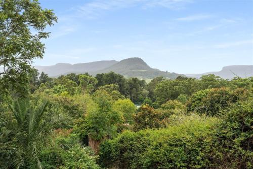 a forest of trees with mountains in the background at Calla Vale - 3 Bed House Incredible Valley Views in Kangaroo Valley
