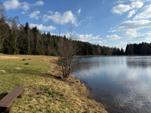 a lake with a tree in the middle of it at Náš sen - Domek in Svratouch