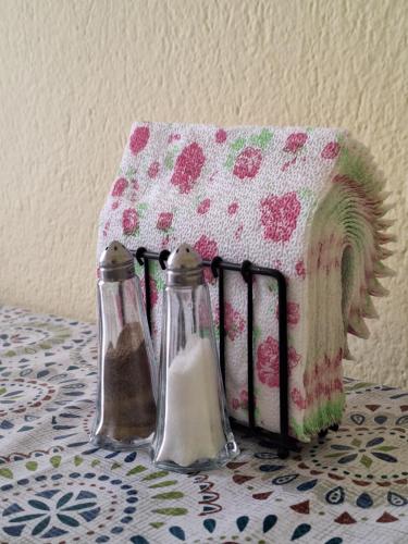 two salt and pepper shakers sitting on a table at Olive Tree Apartment in Asprovalta