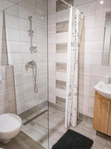 a bathroom with a shower and a toilet and a sink at Zacisze Stara Wieś in Krajno Pierwsze
