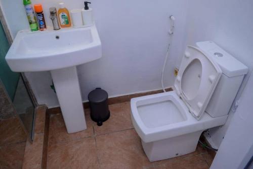 a bathroom with a white sink and a toilet at Bamgbose Apartments - Sleeps 2 - Parking - Balcony in Surulere
