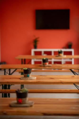 a room with wooden tables with potted plants on them at Ostello Stella Del Mare in Varazze