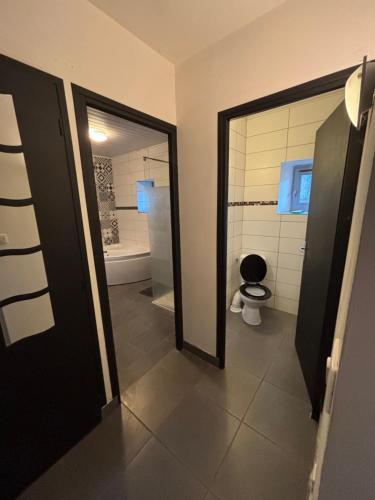 a bathroom with a shower and a toilet and a mirror at Gîte de Raynal in Les Junies