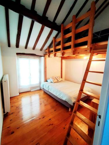 une chambre avec deux lits superposés et une échelle dans l'établissement maison chaleureuse avec jardin, à Savigny-sur-Orge