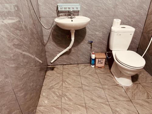 a bathroom with a toilet and a sink at Fish Farm Homestay in Yên Bái