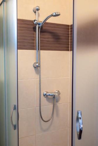 a shower in a bathroom with a glass door at Penzion Na Dlouhé in Uherské Hradiště