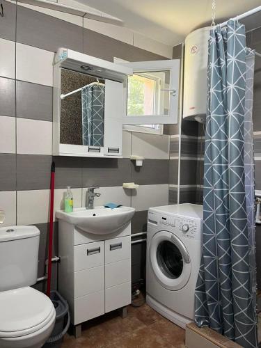 a bathroom with a sink and a washing machine at Divčibare kuća Jure in Divčibare