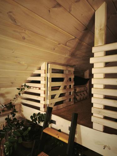 a wooden staircase in a room with a plant at Metai mikeA year in the forest in Paliepis