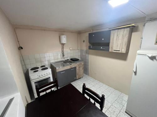 a small kitchen with a stove and a refrigerator at Apartman LANA i TARA in Donji Milanovac