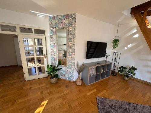 a living room with a tv and a mirror at Große helle Maisonette Wohnung im Zentrum in Kassel