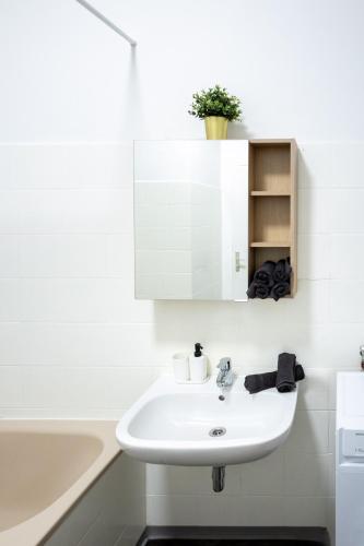 Comfortable Spacious Apartment by Hanovermarkt & the Danube
