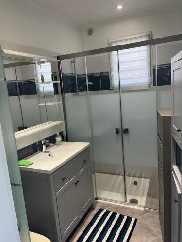 une salle de bain avec douche et lavabo dans l'établissement Loft 43, à La Trinité