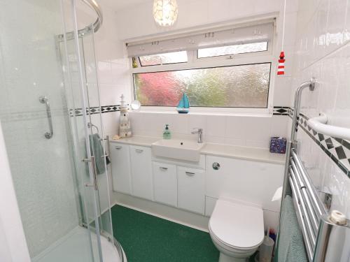 a bathroom with a shower and a toilet and a sink at 14 Orchard Road in Seaview