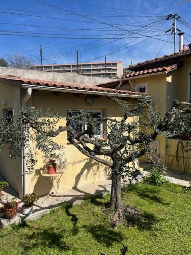 un petit arbre devant une maison dans l'établissement Loft 43, à La Trinité