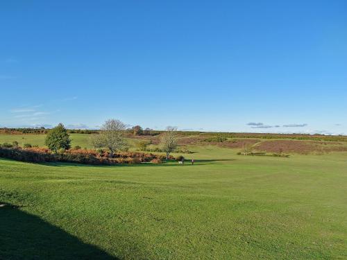 a green field with trees in the distance at The Stables in Edmondsham