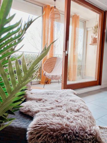un tapis en fourrure assis à un étage à côté d'une fenêtre dans l'établissement Appartement Coup de Coeur avec Parking et Piscine - 131, à Canet