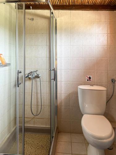 a bathroom with a toilet and a glass shower at Anna-Malai Penthouse in Megála Khoráfia