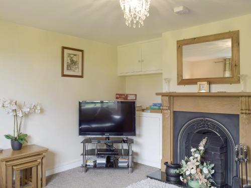 un salon avec une télévision et une cheminée dans l'établissement Rose Farm Cottage, à Frostenden