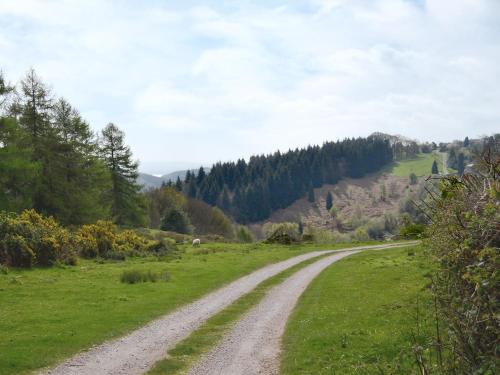 a dirt road in the middle of a field at The Hayloft in Cinderford
