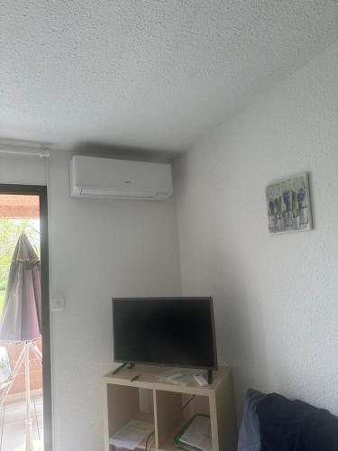 Cette chambre dispose d'une télévision à écran plat et d'une table. dans l'établissement Les Marines, à San-Nicolao