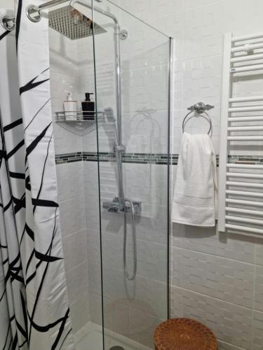 une cabine de douche avec une porte vitrée dans une salle de bain dans l'établissement Paris est merveilleux - Buttes-Chaumont, à Paris