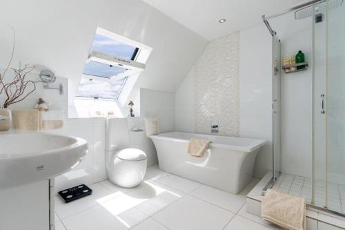 a bathroom with a sink and a toilet and a shower at Dolphin Beach Penthouse in Cape Town