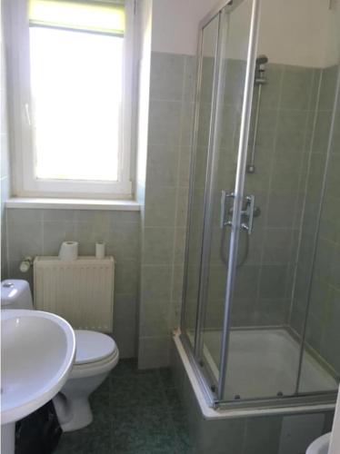 a bathroom with a shower and a toilet and a sink at Dom wakacyjny Blisko Plaży in Gdynia