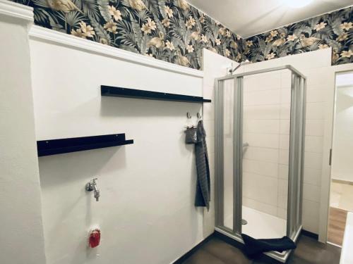 a bathroom with a shower with a glass door at Ferienwohnung Hohensonne in Aach
