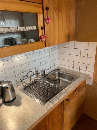 un évier de cuisine avec un égouttoir à vaisselle à côté dans l'établissement Gîte des Amoureux, à Colmar