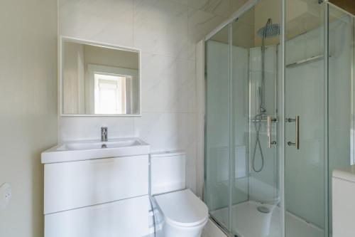 une salle de bain avec une douche, des toilettes et un lavabo dans l'établissement Neustadt central et paisible, à Strasbourg