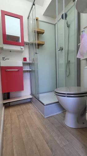 une salle de bain avec une douche en verre et des toilettes dans l'établissement joli petit T2 proche gare et centre, à Amiens