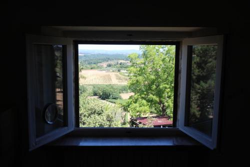 a window with a view of a vineyard seen through it at CasaLeTolfe Residence in Siena