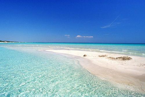 a beach with clear water and a blue sky at Casa Dino con accesso diretto alla Spiaggia di Punta Prosciutto in Punta Prosciutto