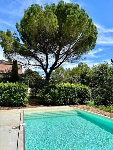 une piscine avec un arbre en arrière-plan dans l'établissement Petite Maison de Famille de Charme en Vallée du Lot, à Lédat